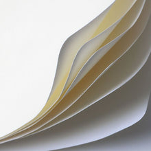 Cargar imagen en el visor de la galería, LEUCHTTURM1917 Bullet Journal edición 2 negro