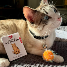 Cargar imagen en el visor de la galería, Kikkerland Kit de bienvenida para gatos nuevos de Kiko CAT02