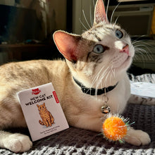 Cargar imagen en el visor de la galería, Kikkerland Kit de bienvenida para gatos nuevos de Kiko CAT02