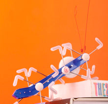 Cargar imagen en el visor de la galería, Kikkerland mxykikker 1504