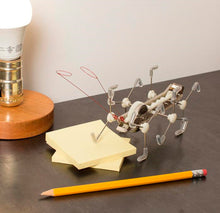 Cargar imagen en el visor de la galería, Kikkerland mxykikker 1504