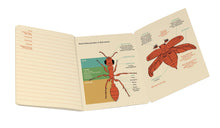 Cargar imagen en el visor de la galería, Cuaderno Insecto (Entomología) 5423