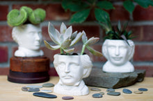 Cargar imagen en el visor de la galería, Macetero De Edgar Allan Poe 5584
