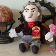 Cargar imagen en el visor de la galería, Muñeco De Peluche Ludwig Van Beethoven