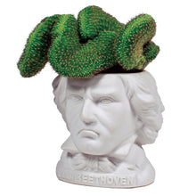 Cargar imagen en el visor de la galería, Macetero Ludwig Van Beethoven