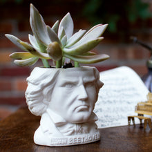 Cargar imagen en el visor de la galería, Macetero Ludwig Van Beethoven