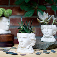 Cargar imagen en el visor de la galería, Macetero Ludwig Van Beethoven