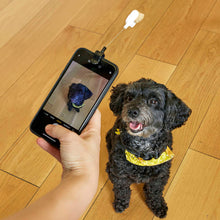 Cargar imagen en el visor de la galería, Kikkerland clip para fotografiar a tu perro DIG01