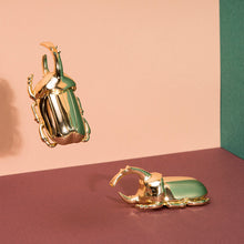 Cargar imagen en el visor de la galería, Doiy destapador escarabajo oro DYINSECBG