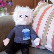 Cargar imagen en el visor de la galería, Muñeco De Peluche Albert Einstein