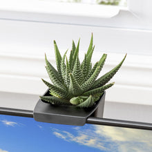 Cargar imagen en el visor de la galería, Kikkerland juego de 3 macetas para almacenamiento OR117