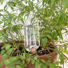 Cargar imagen en el visor de la galería, #N/D