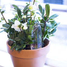 Cargar imagen en el visor de la galería, #N/D