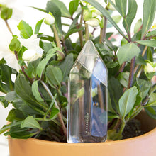 Cargar imagen en el visor de la galería, #N/D