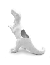 Cargar imagen en el visor de la galería, Kikkerland maceta de ceramica &quot;plantasaurus rex&quot; PL04
