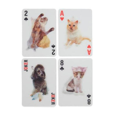 PAQUETES DE CARTAS GATOS 3D