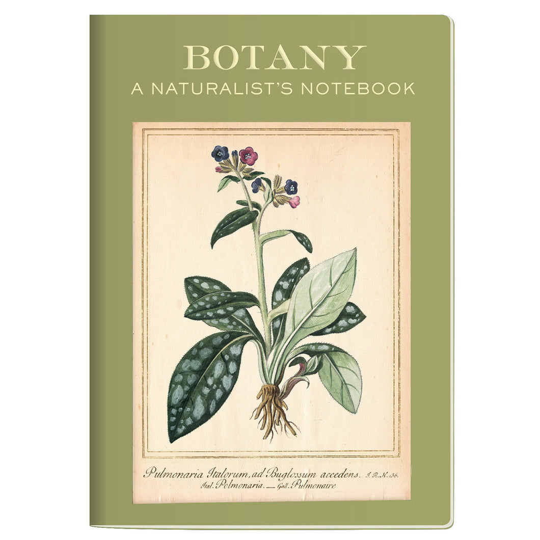 Cuaderno de botanica 5363